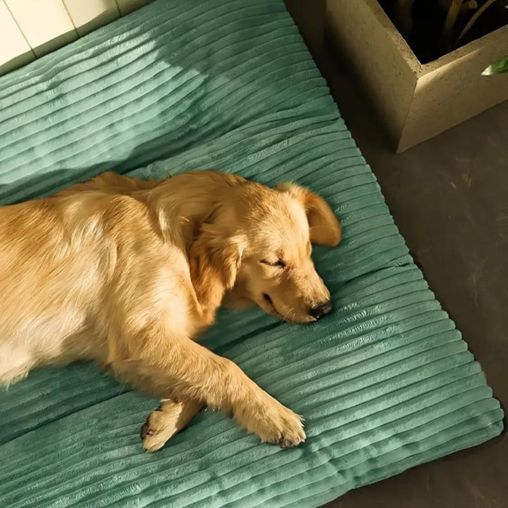 PetHeaven • Oversized Corduroy Bed - Dog Bed