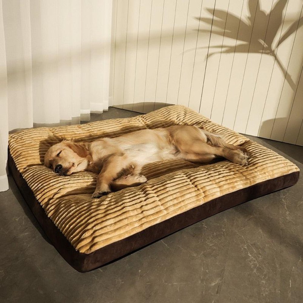 PetHeaven • Oversized Corduroy Bed - Dog Bed