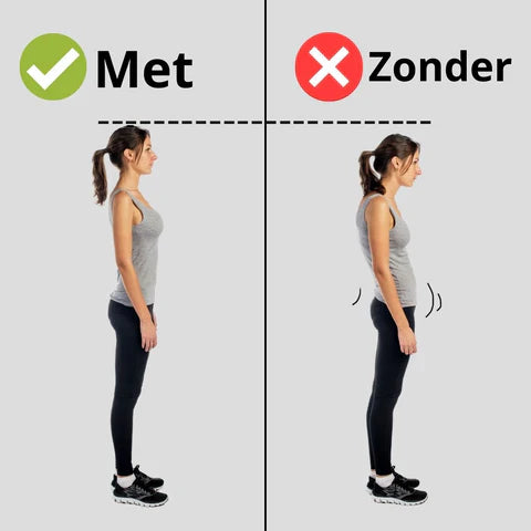 SpineEase Pro | Holdningsstøtte for å redusere ryggubehag | Petprovac