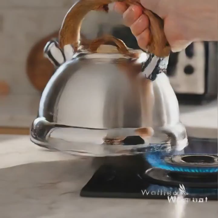 Stainless Steel Whistling Kettle