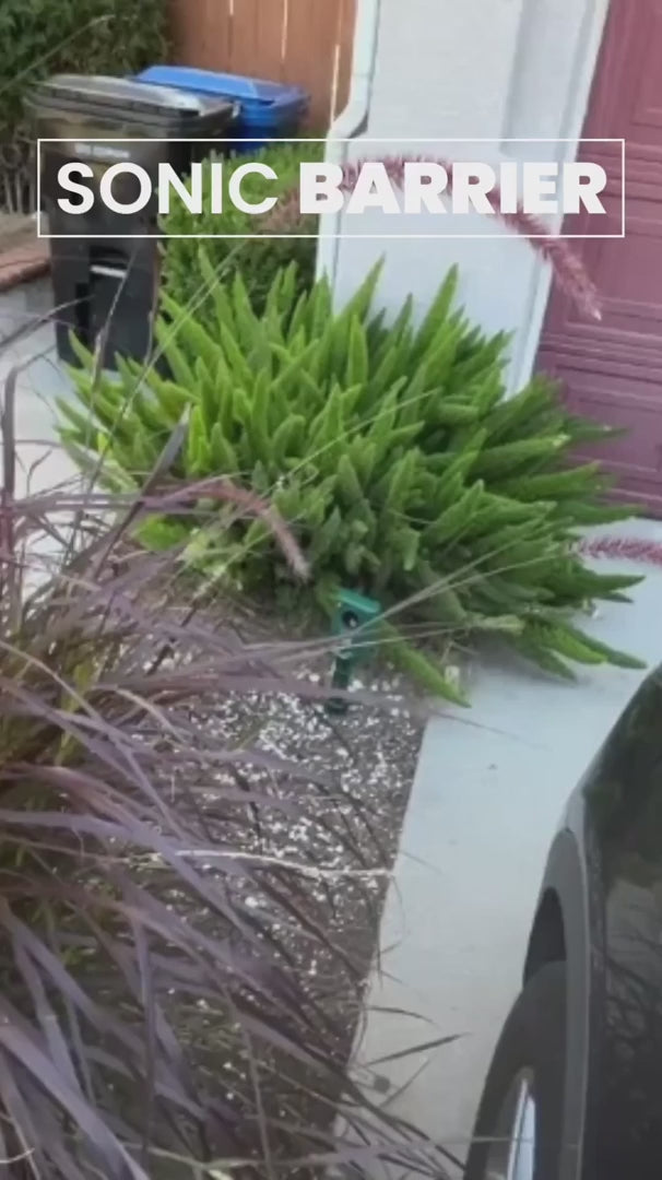 Motion-Activated Ultrasonic Cat Deterrent for Gardens, Yards & Outdoor Areas