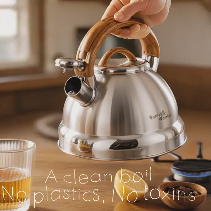 Stainless Steel Whistling Kettle