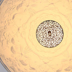 Lámpara de araña de cristal de resina Solara Bloom de montaje semi empotrado