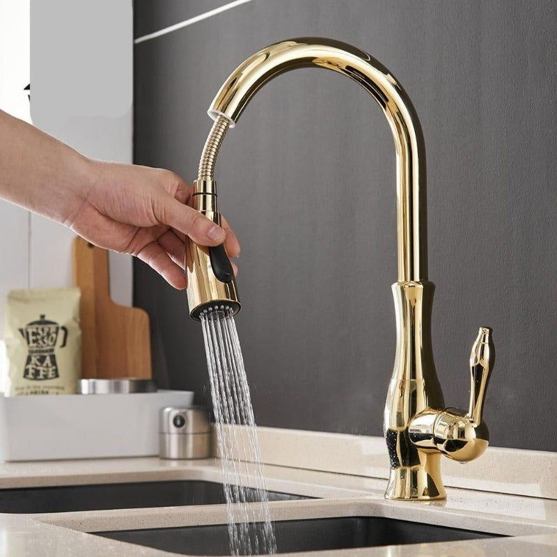 Vellaro Pull Out Kitchen Faucet By Petprovac Stainless