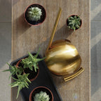 Penyiram Air Keluli Tahan Karat Sylvara dengan Corong Sfera