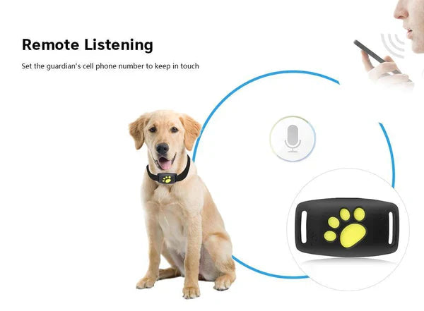 PawGuard Cat Locator With Microchip and GPS Tracking