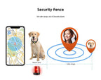 PawGuard Cat Locator With Microchip and GPS Tracking