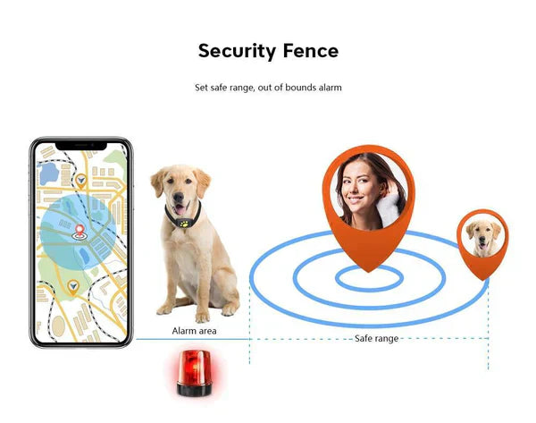 PawGuard Cat Locator With Microchip and GPS Tracking