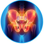 Sciatica Relief Belt for Back & Hip Pain | petprovac