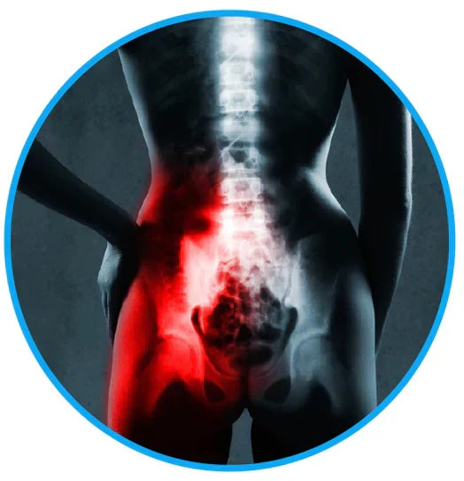 Sciatica Relief Belt for Back & Hip Pain | petprovac