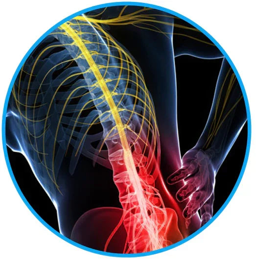 Sciatica Relief Belt for Back & Hip Pain | petprovac