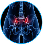 Sciatica Relief Belt for Back & Hip Pain | petprovac