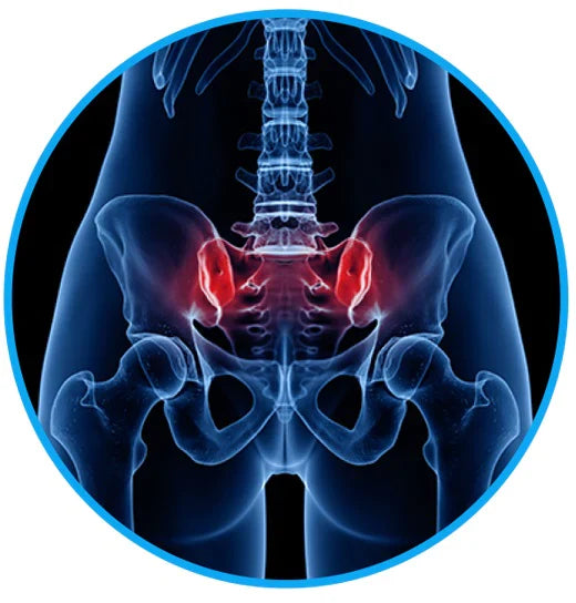 Sciatica Relief Belt for Back & Hip Pain | petprovac
