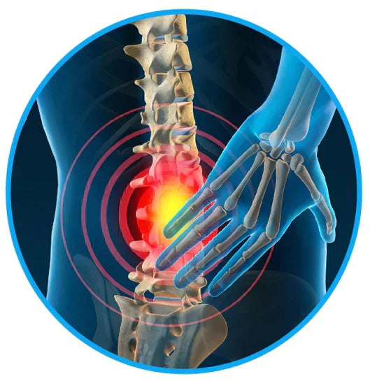Sciatica Relief Belt for Back & Hip Pain | petprovac