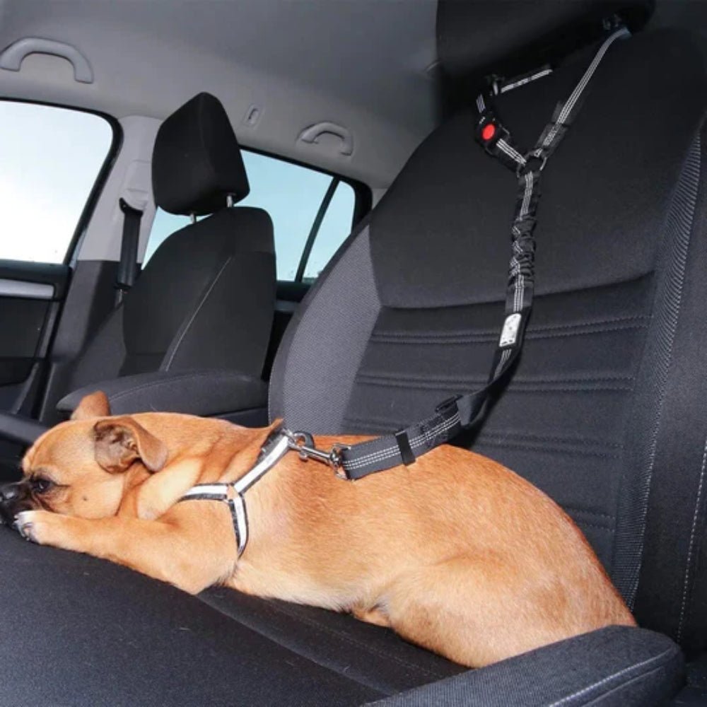 SecureRider • Car Seat Belt - Dog Car Seat Belt