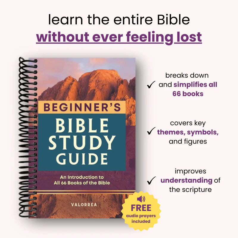 66 Books, One Clear Path – A Beginner-Friendly Bible Study Guide