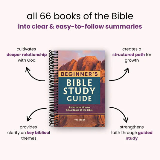 66 Books, One Clear Path – A Beginner-Friendly Bible Study Guide