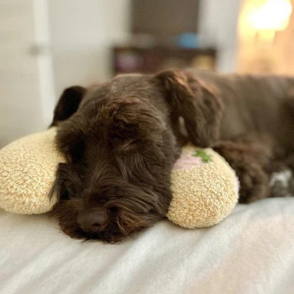 SleepHug • Calming Pet Pillow for Dogs & Cats - Calming Pet Pillow