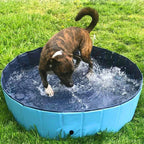 SplashZone • Dog Pool - Dog Pool