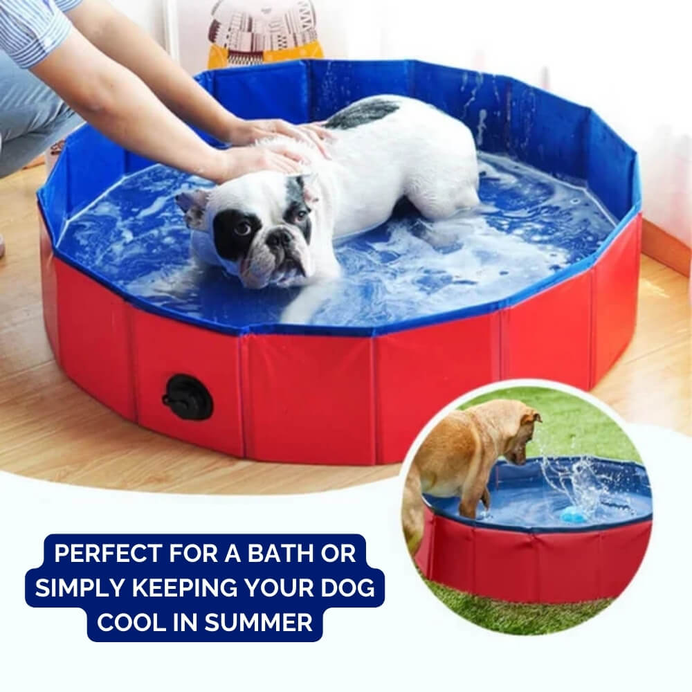 SplashZone • Dog Pool - Dog Pool