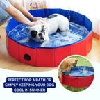 SplashZone • Dog Pool - Dog Pool