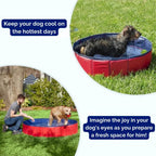SplashZone • Dog Pool - Dog Pool