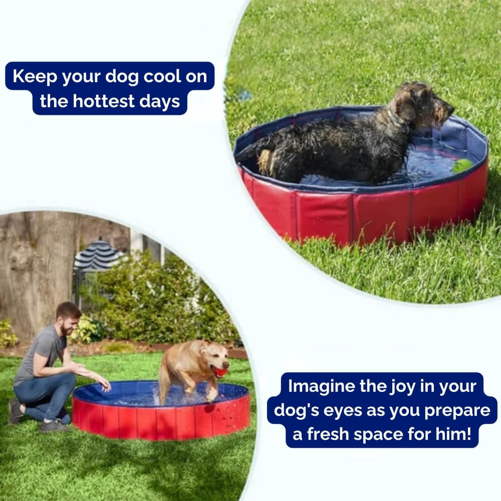 SplashZone • Dog Pool - Dog Pool