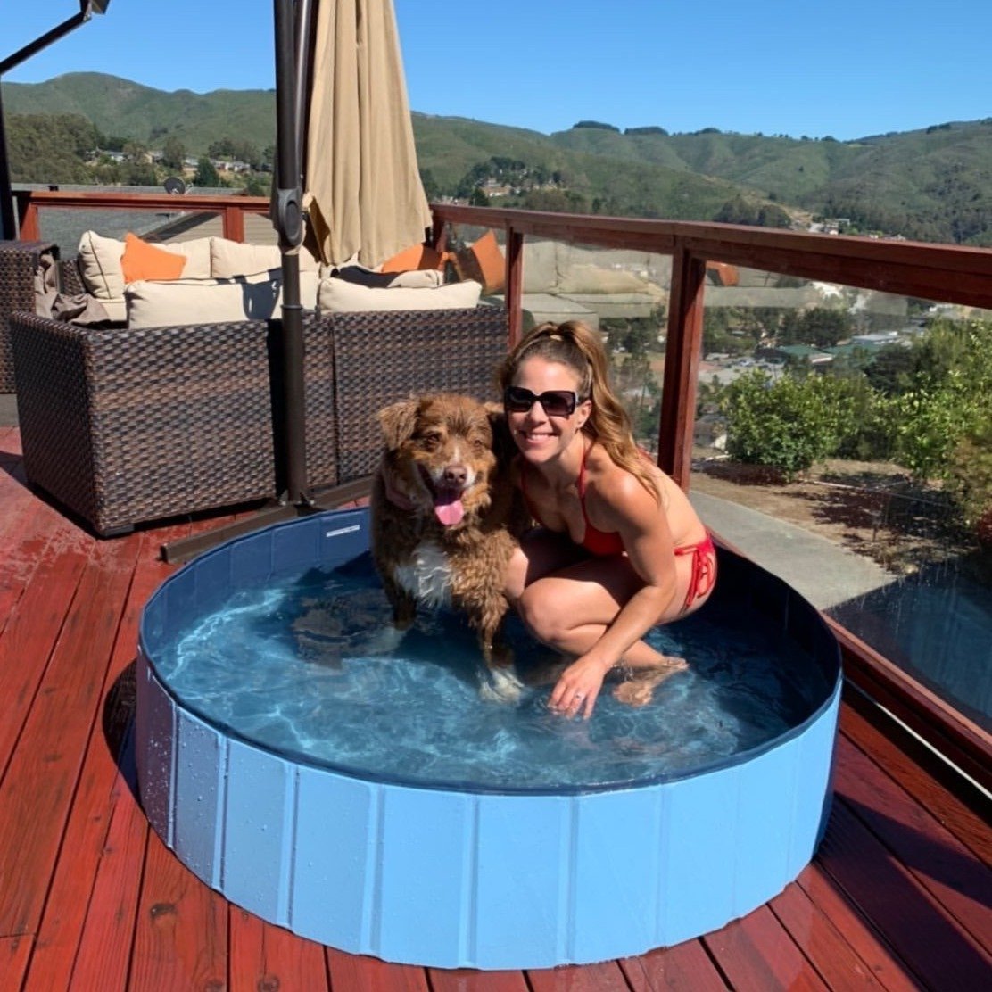 SplashZone • Dog Pool - Dog Pool