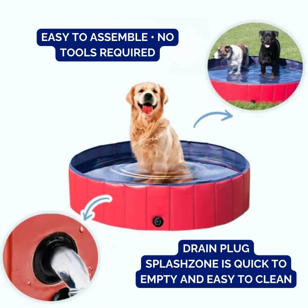 SplashZone • Dog Pool - Dog Pool